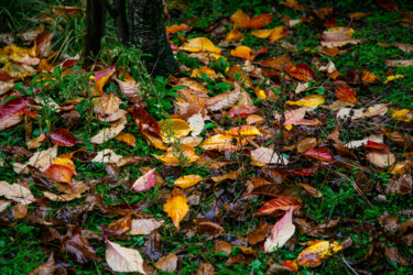 TAPIS D'AUTOMNE